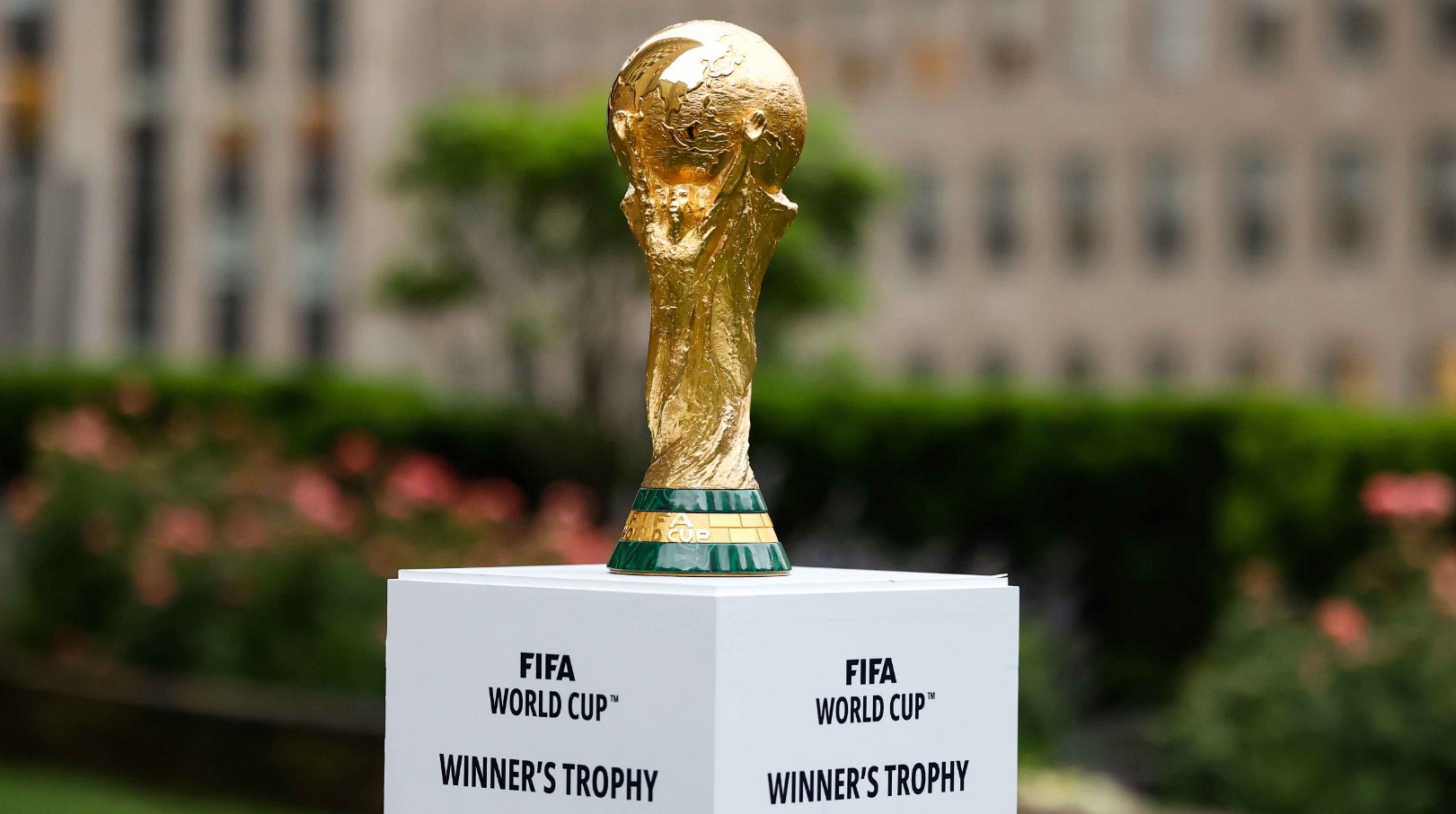 FIFA World Cup Betting Odds UG